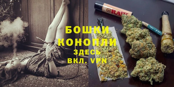 бошки Аркадак