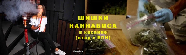 spice Арсеньев