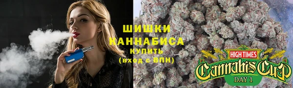 spice Арсеньев