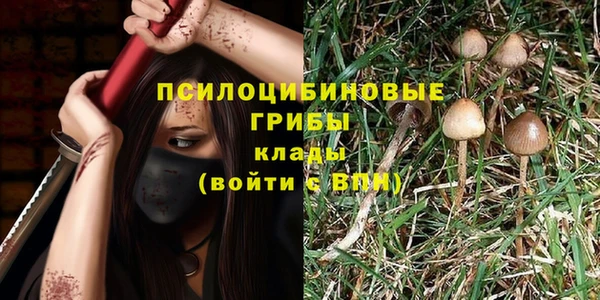 бошки Аркадак
