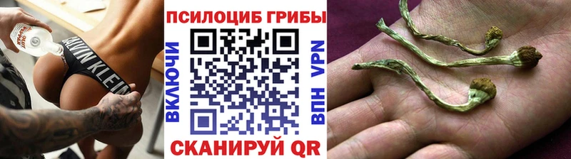 Псилоцибиновые грибы ЛСД  Спас-Деменск 